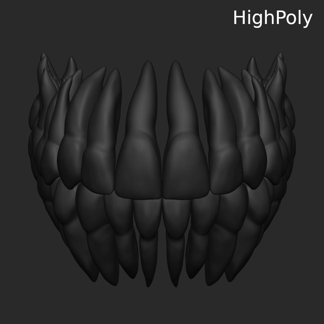 Teeth 3D Model – Low Poly Anatomy Asset with PBR Textures - View 8