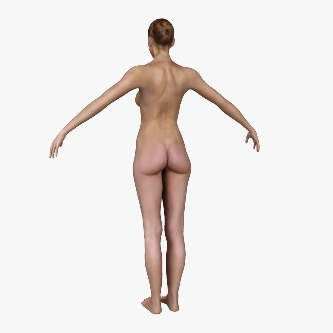 Ultimate Rigged Anatomy Combo 3D Model – Full Body Character Asset, FBX, PBR - View 49