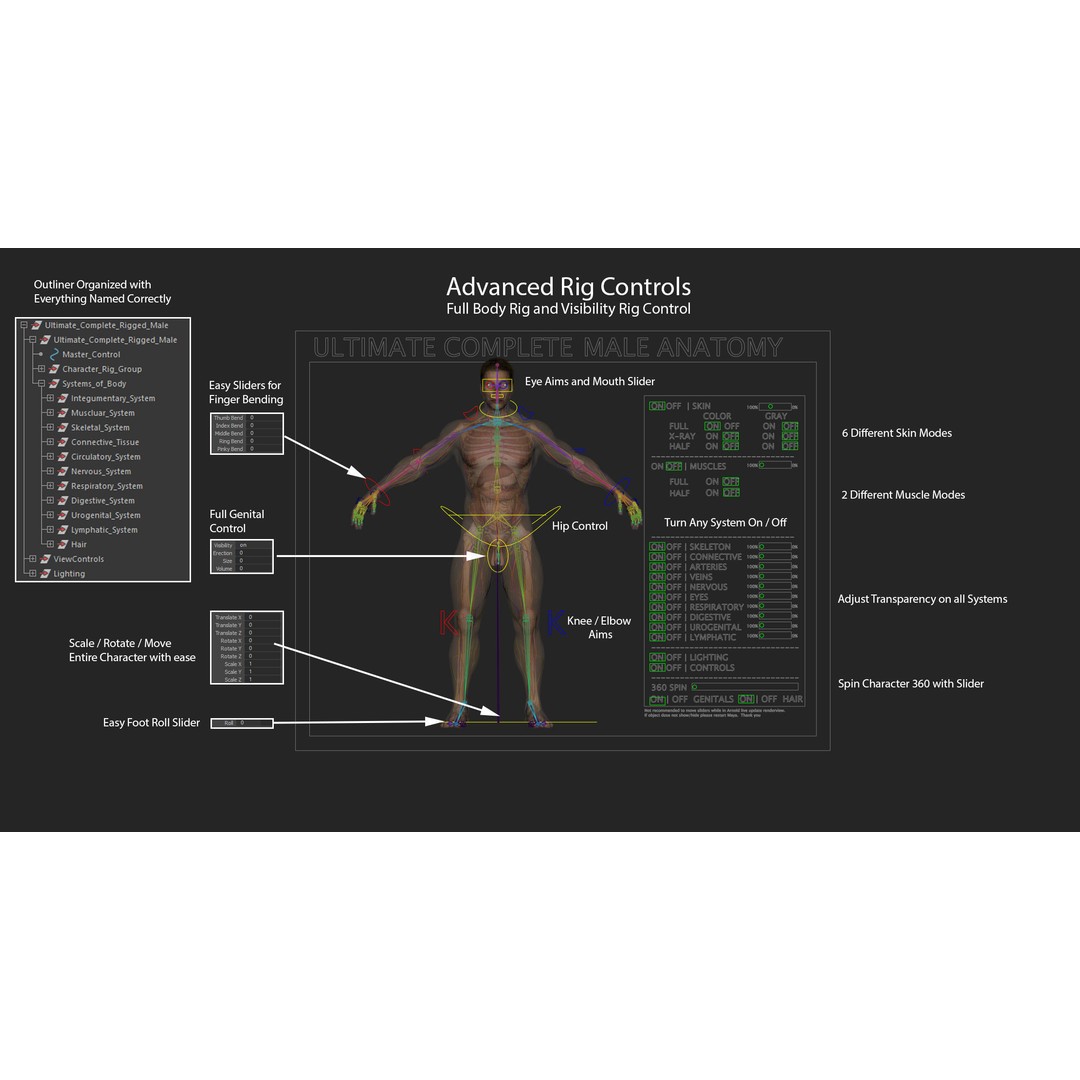 Ultimate Rigged Anatomy Combo 3D Model – Full Body Character Asset, FBX, PBR - View 56