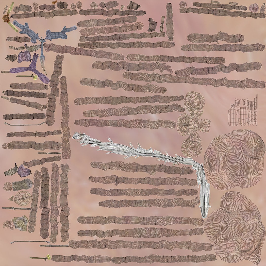 Ultimate Rigged Anatomy Combo 3D Model – Full Body Character Asset, FBX, PBR - View 79