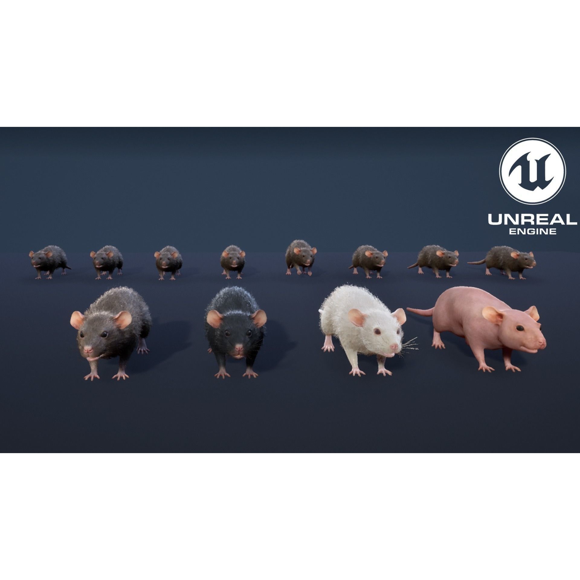 Mouse Rat - Low-Poly Game-Ready 3D Model