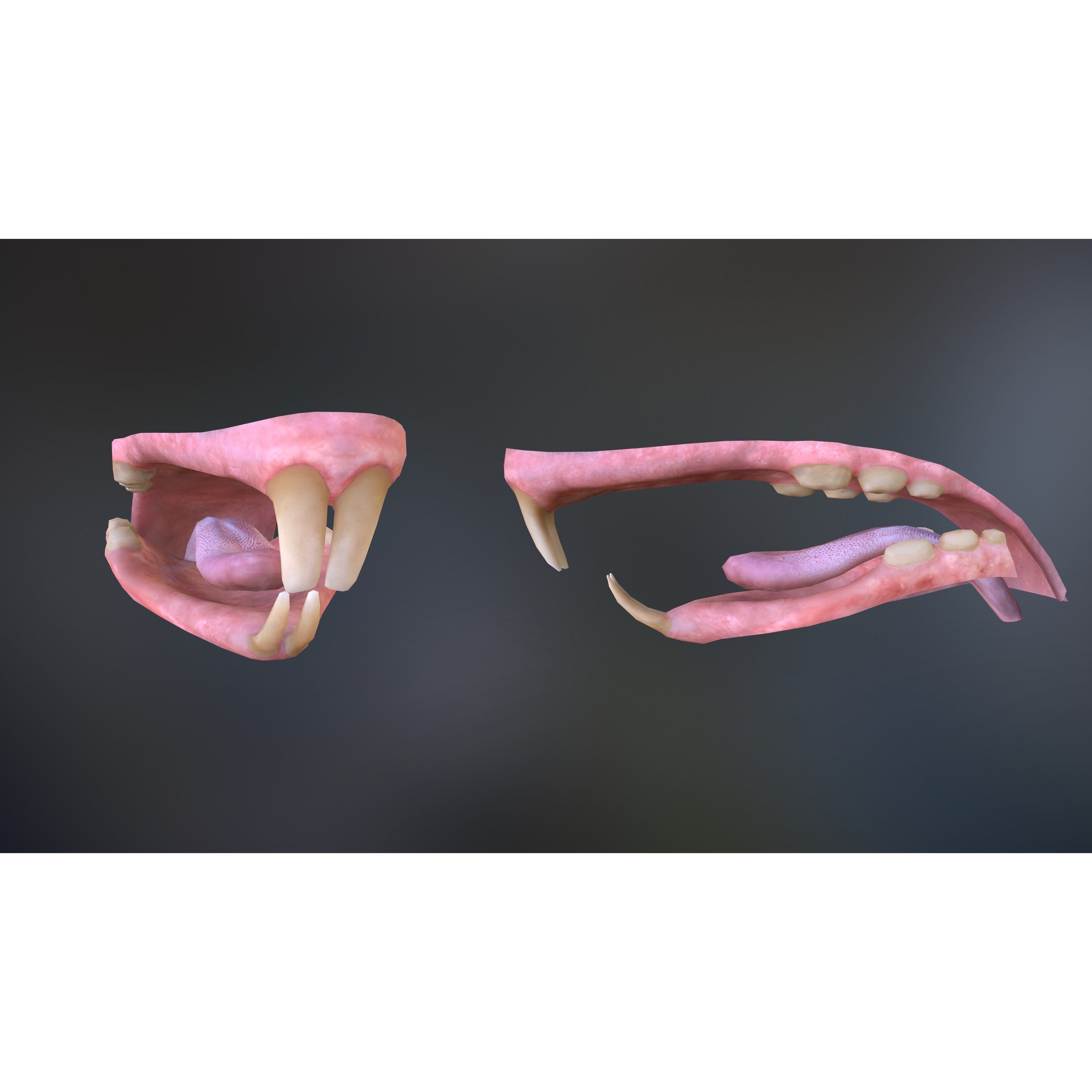 Mouse Rat - Low-Poly Game-Ready 3D Model - View 10