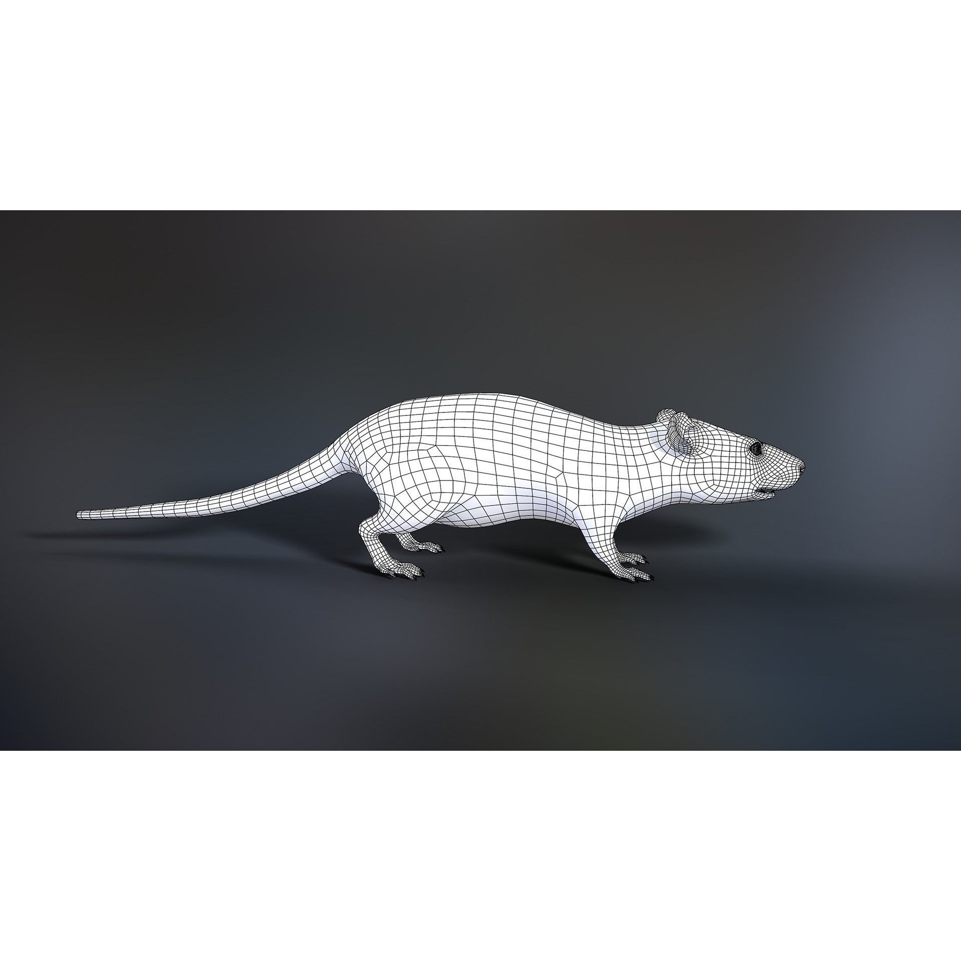 Mouse Rat - Low-Poly Game-Ready 3D Model - View 11