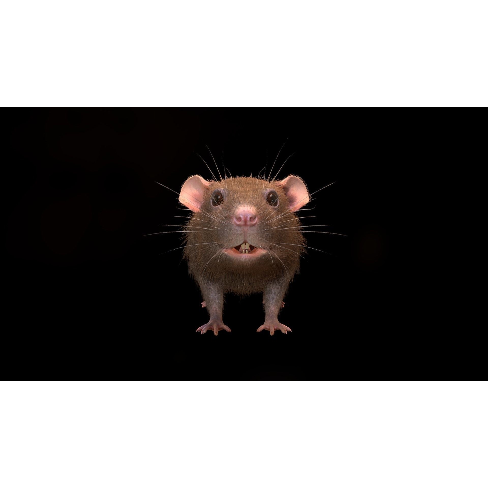 Mouse Rat - Low-Poly Game-Ready 3D Model - View 14