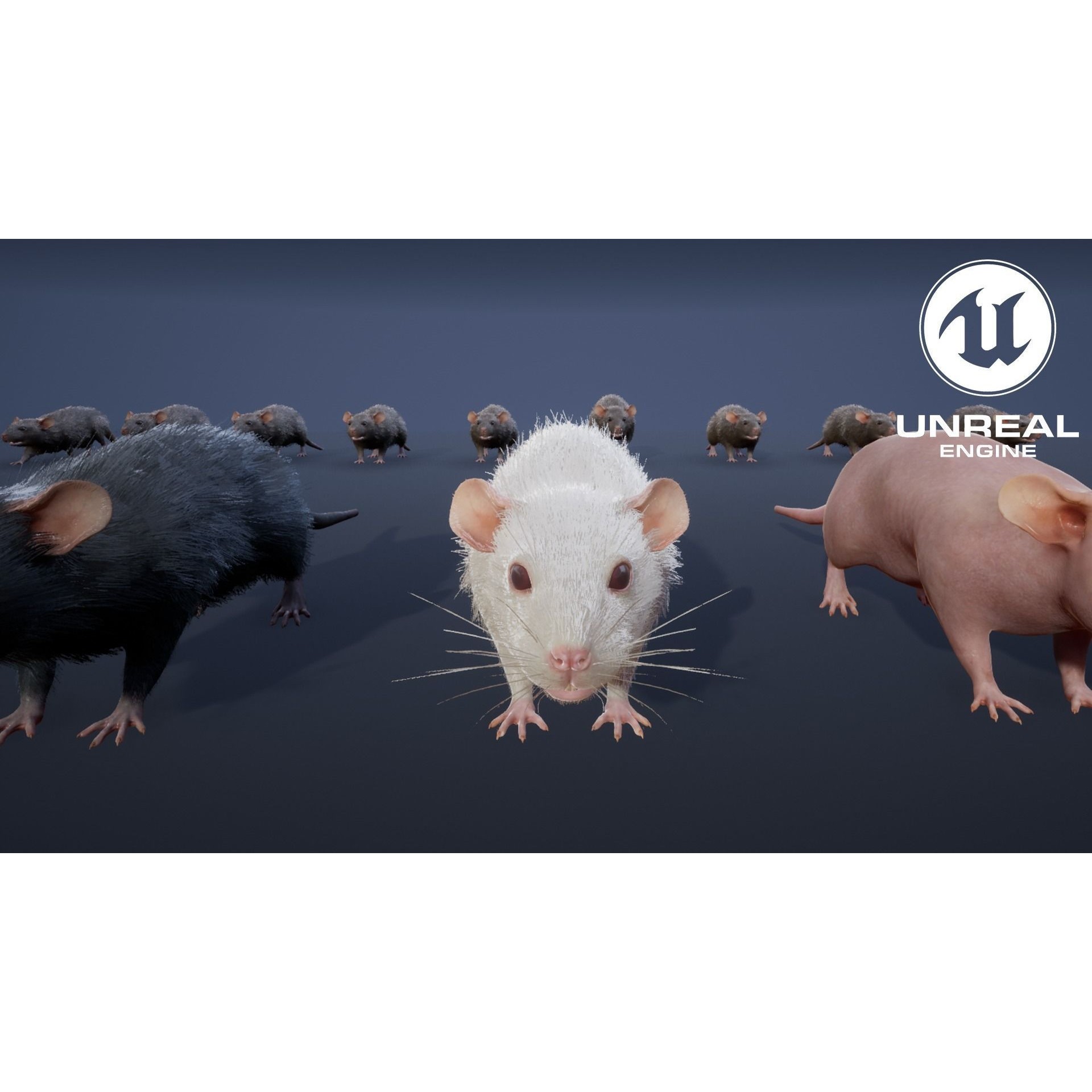 Mouse Rat - Low-Poly Game-Ready 3D Model - View 17