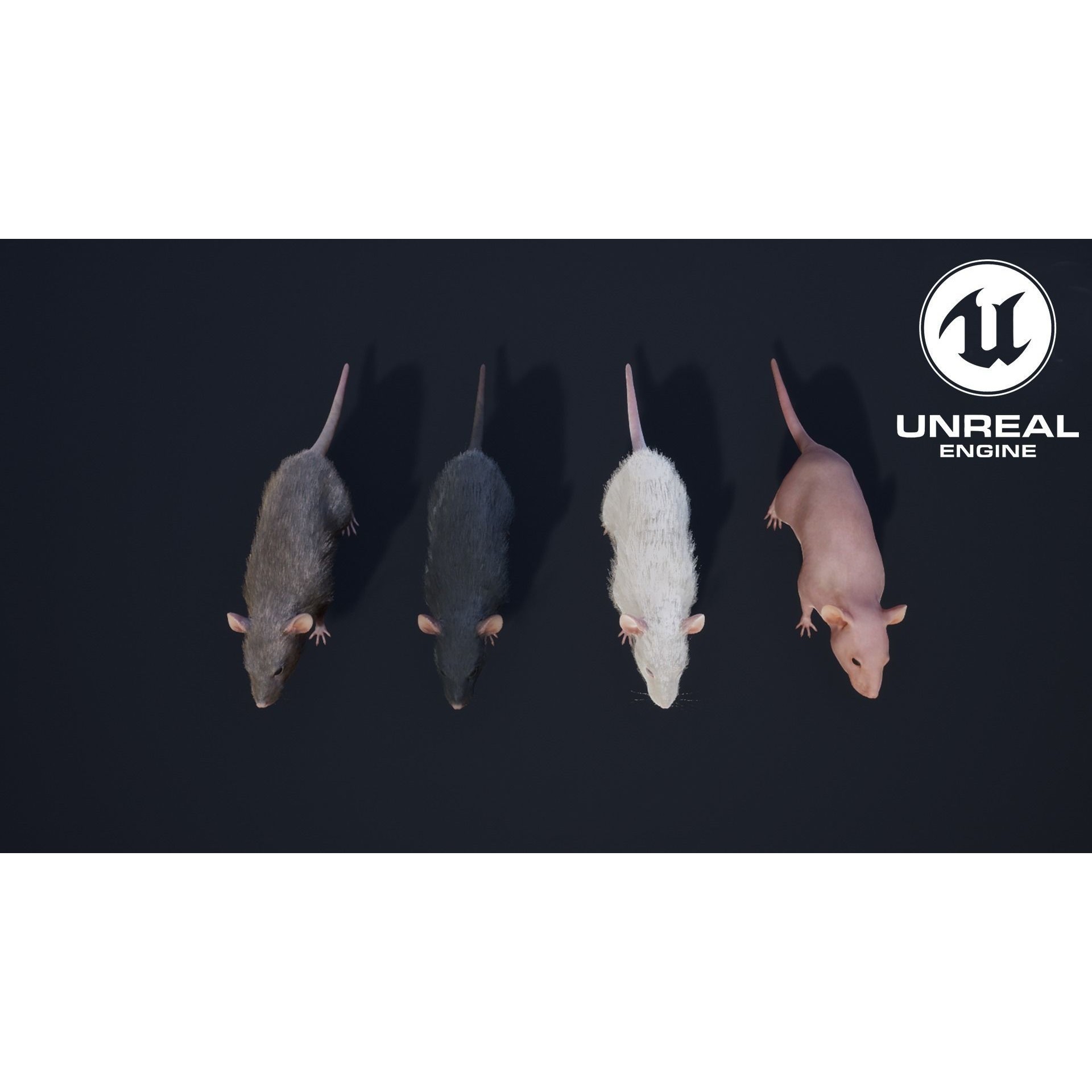 Mouse Rat - Low-Poly Game-Ready 3D Model - View 18