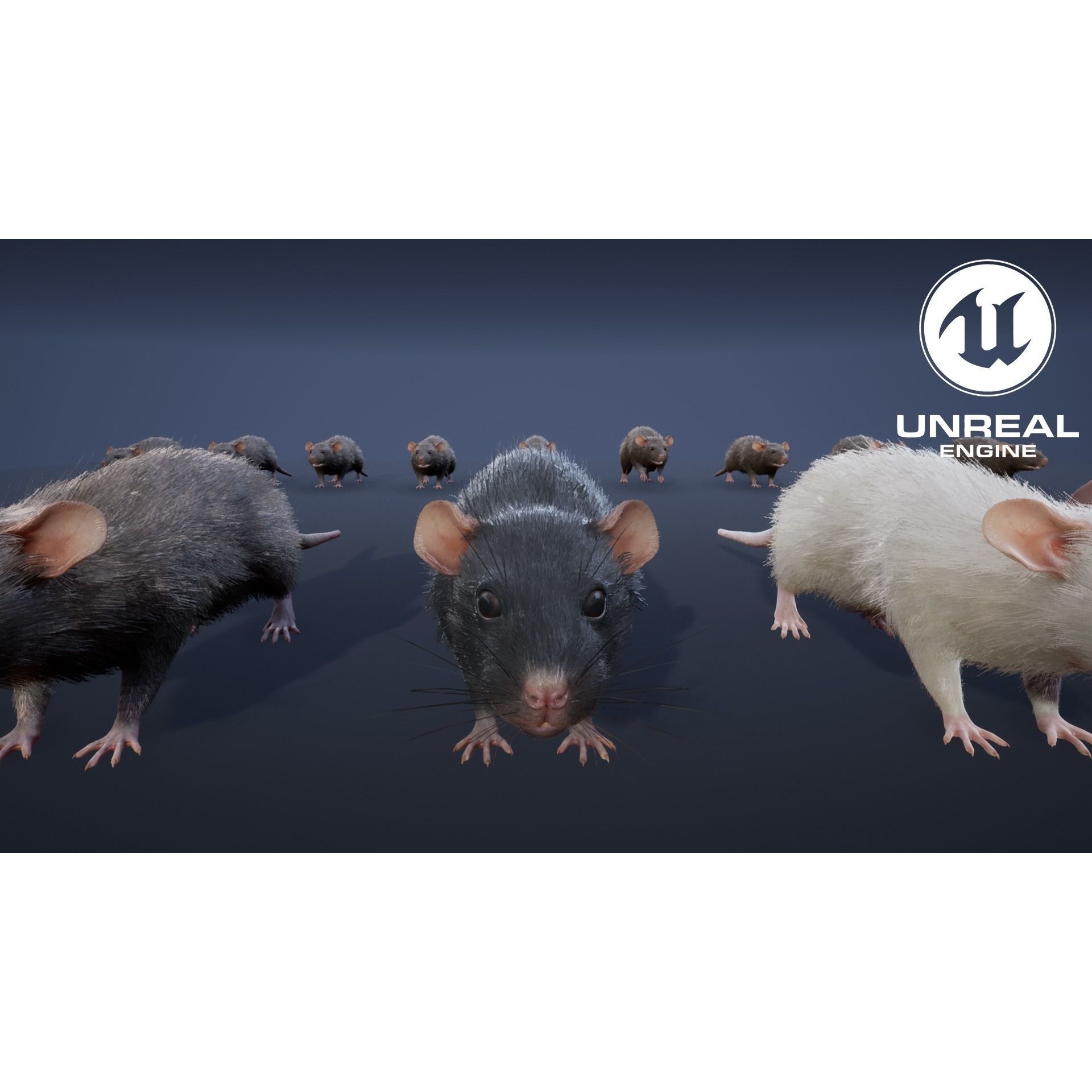 Mouse Rat - Low-Poly Game-Ready 3D Model - View 19