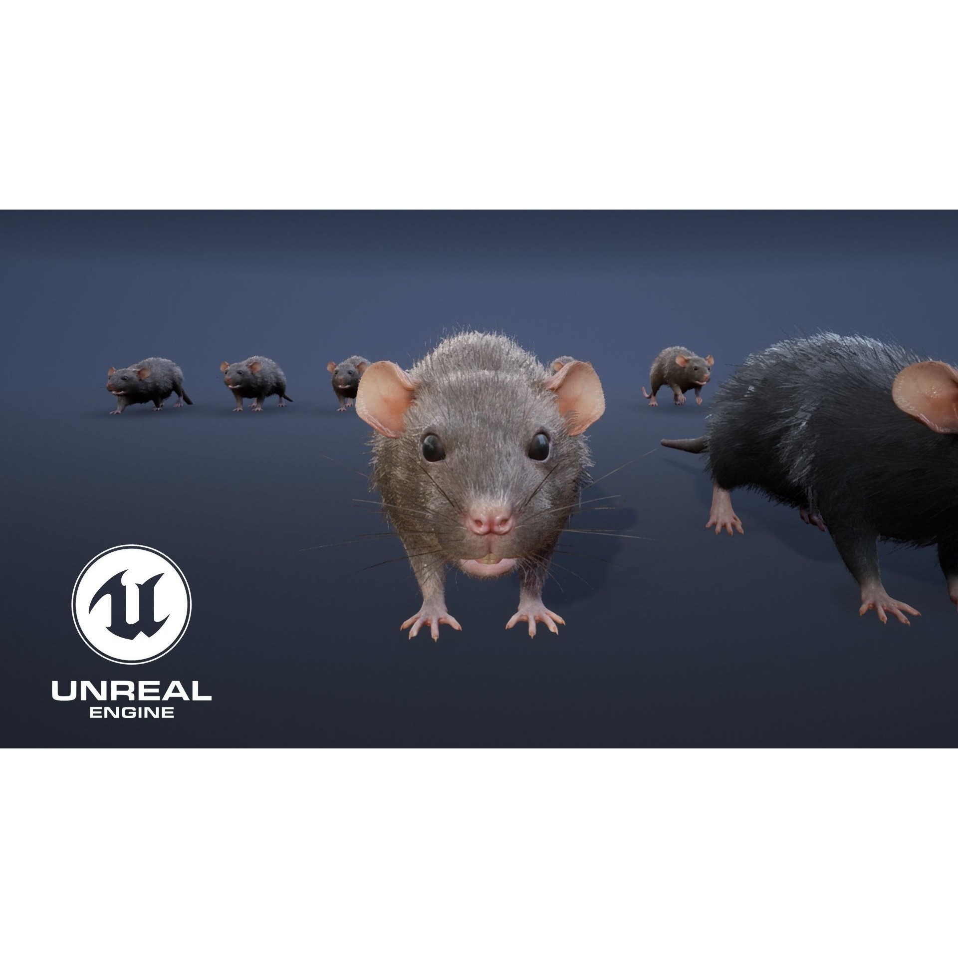 Mouse Rat - Low-Poly Game-Ready 3D Model - View 20
