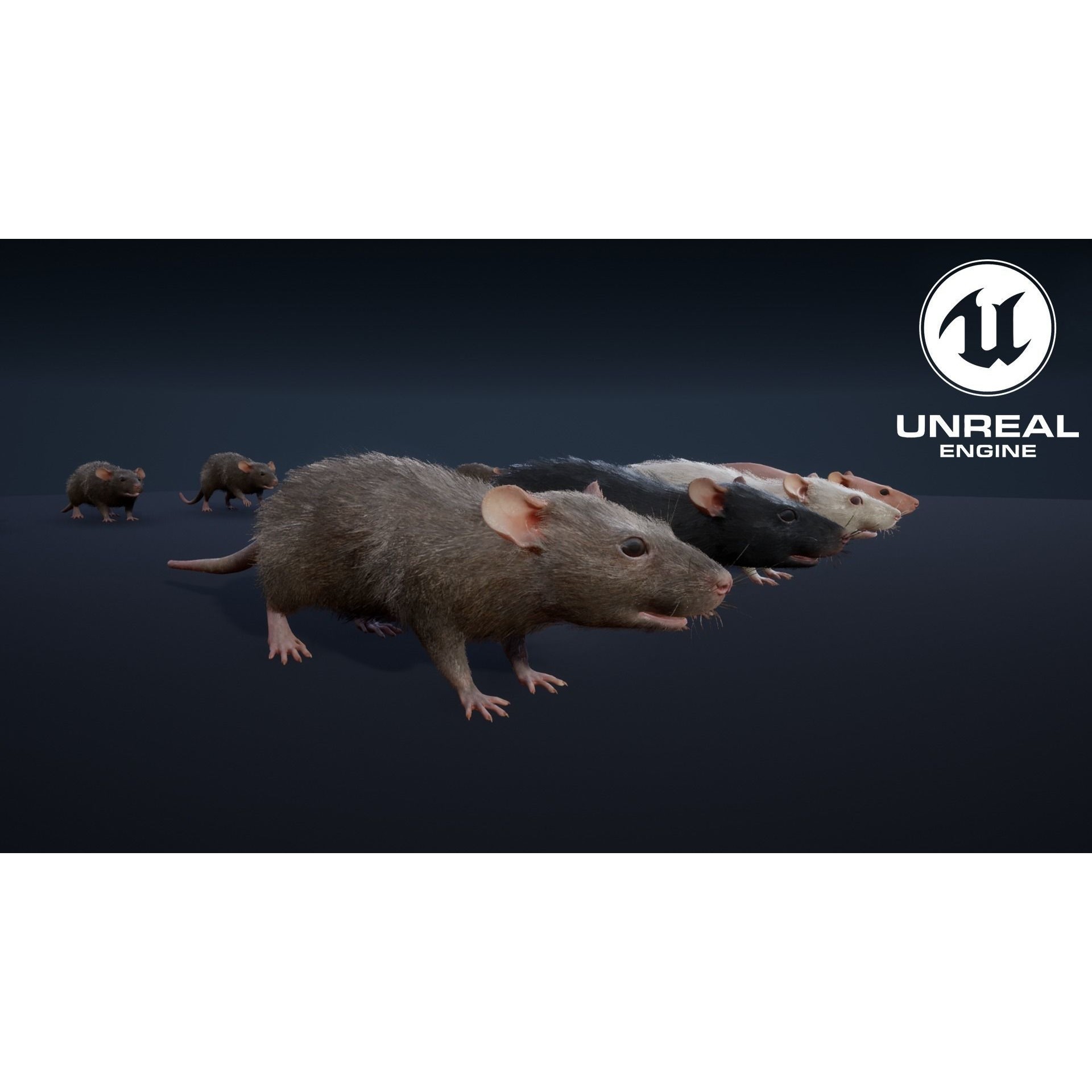 Mouse Rat - Low-Poly Game-Ready 3D Model - View 21