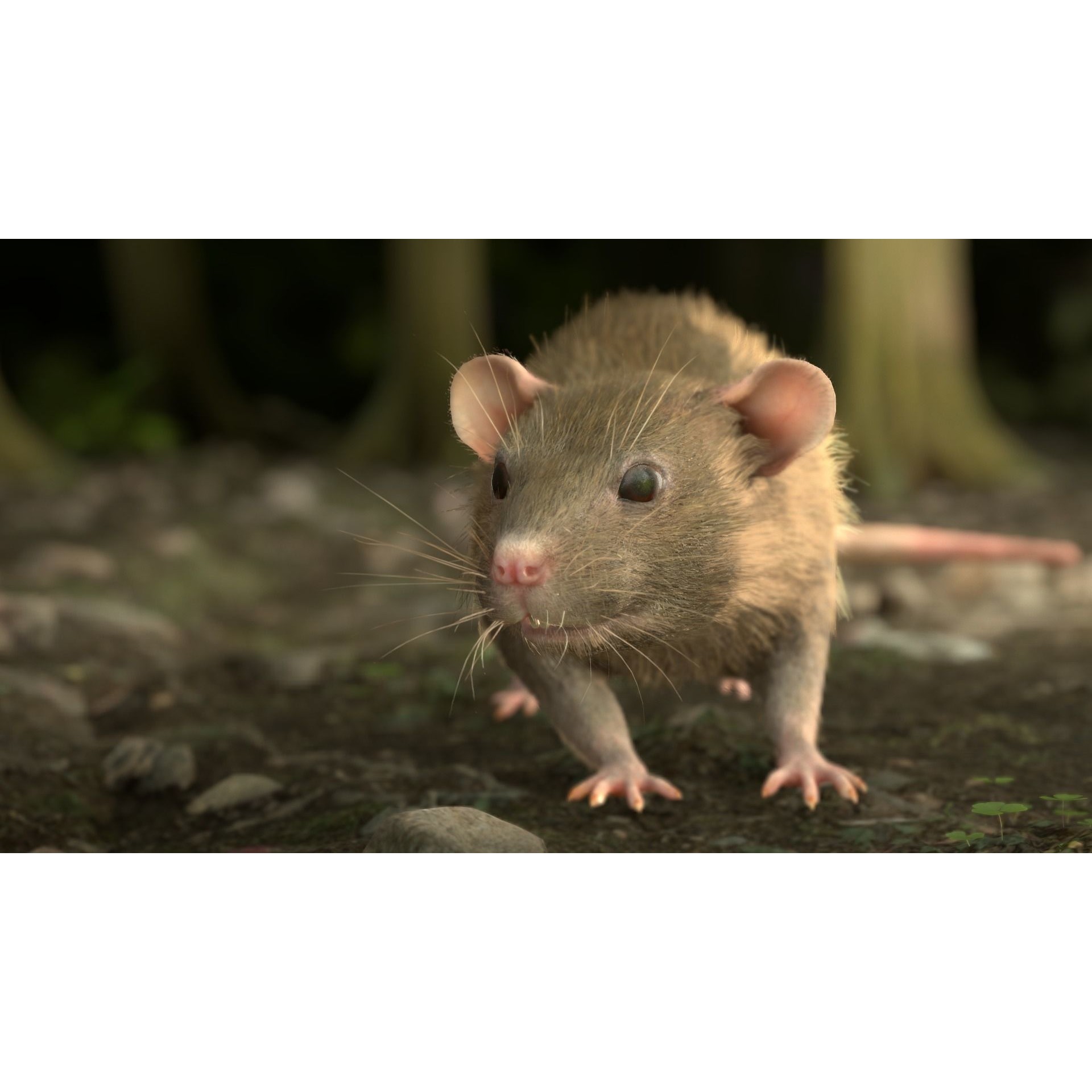 Mouse Rat - Low-Poly Game-Ready 3D Model - View 22