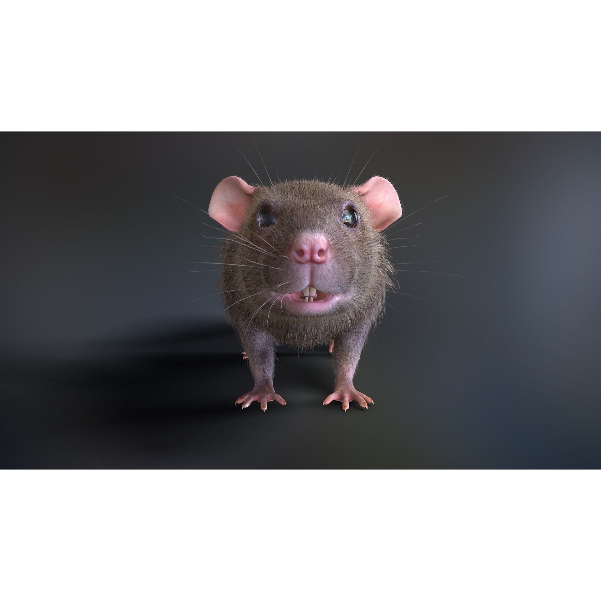 Mouse Rat - Low-Poly Game-Ready 3D Model - View 5