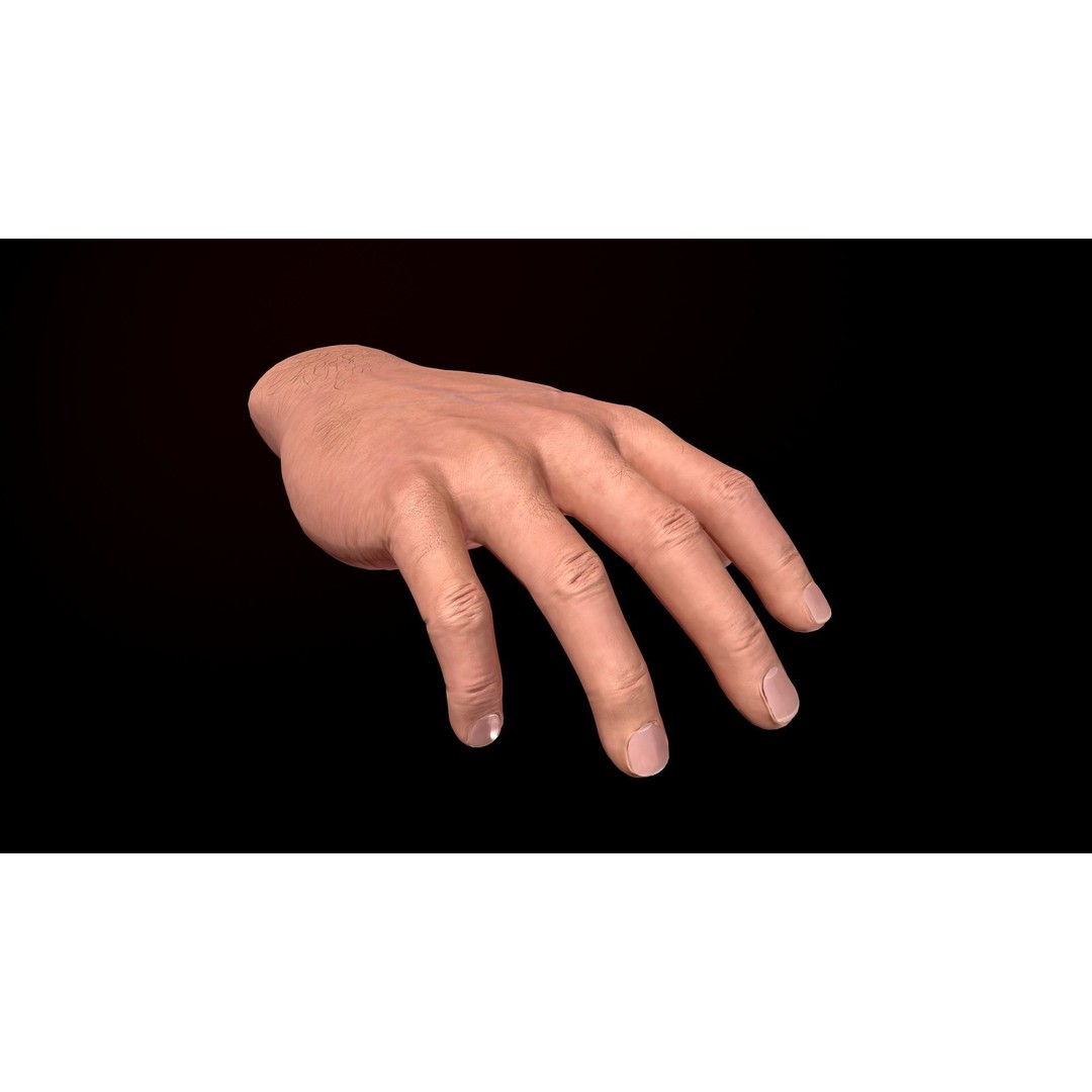 Male Hand 3D Model – Low Poly Rigged Asset with PBR Textures - View 13