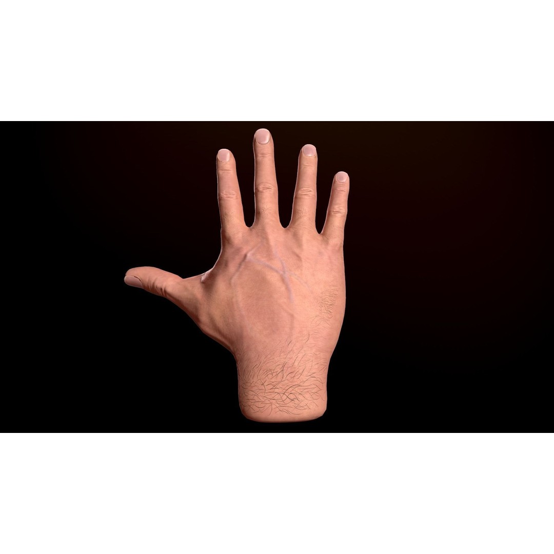 Male Hand 3D Model – Low Poly Rigged Asset with PBR Textures - View 14