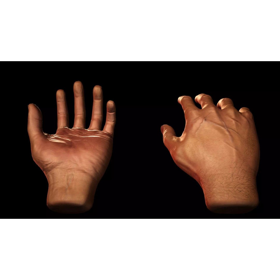 Male Hand 3D Model – Low Poly Rigged Asset with PBR Textures - View 2
