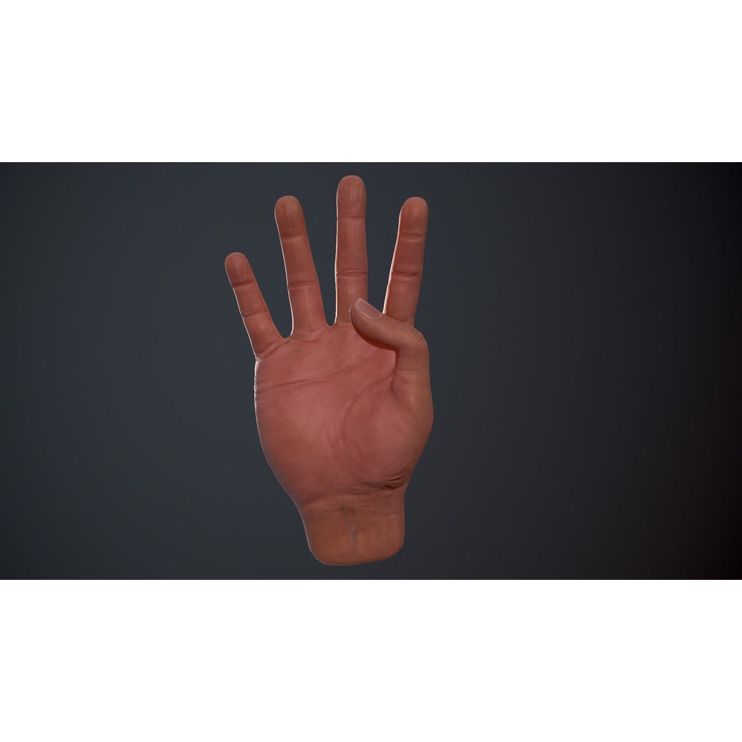 Male Hand 3D Model – Low Poly Rigged Asset with PBR Textures - View 20