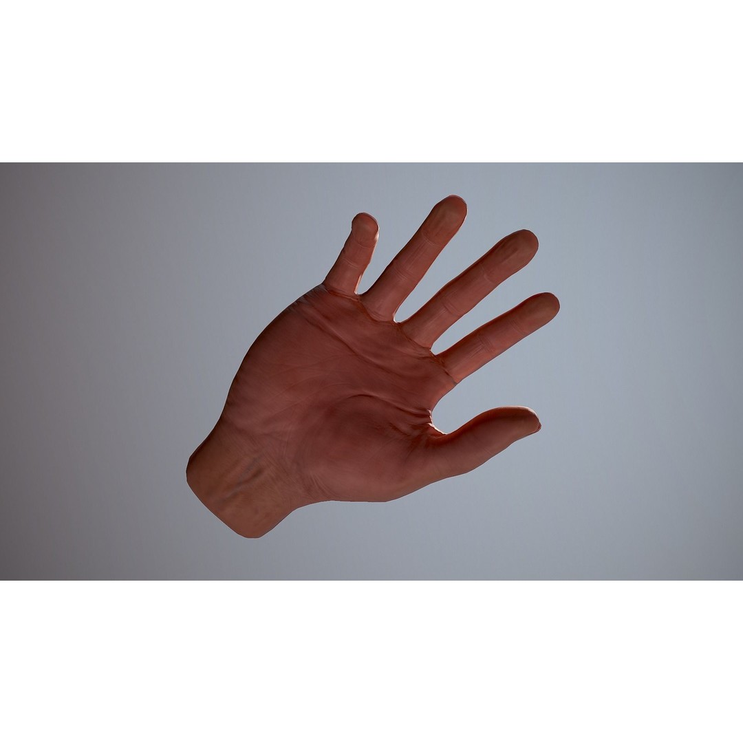 Male Hand 3D Model – Low Poly Rigged Asset with PBR Textures - View 26