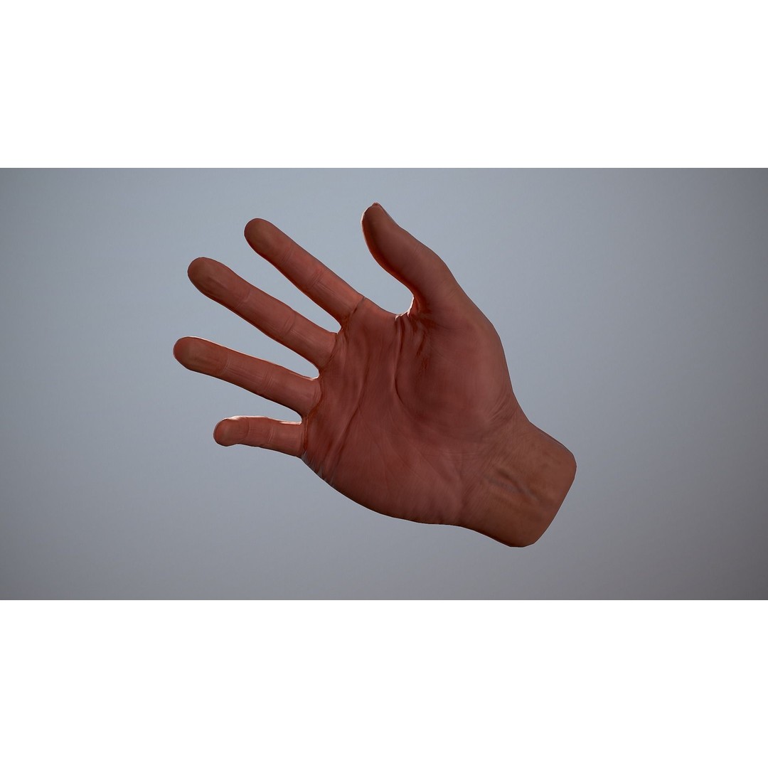 Male Hand 3D Model – Low Poly Rigged Asset with PBR Textures - View 27
