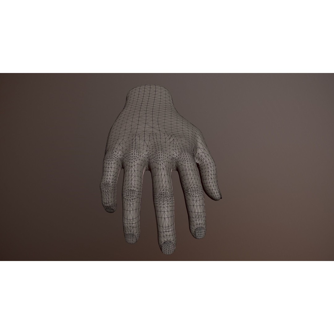 Male Hand 3D Model – Low Poly Rigged Asset with PBR Textures - View 28