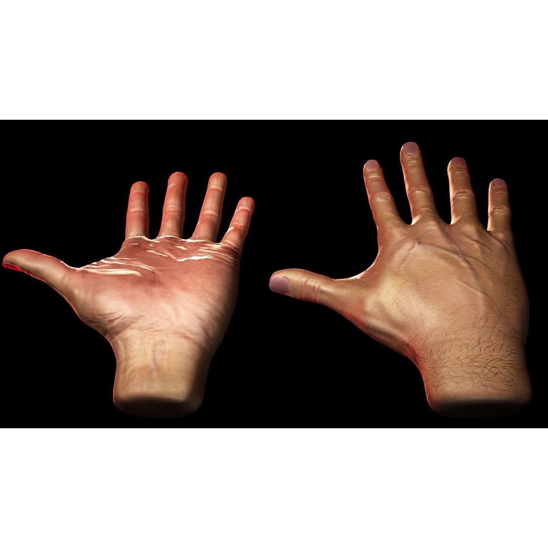 Male Hand 3D Model – Low Poly Rigged Asset with PBR Textures - View 3