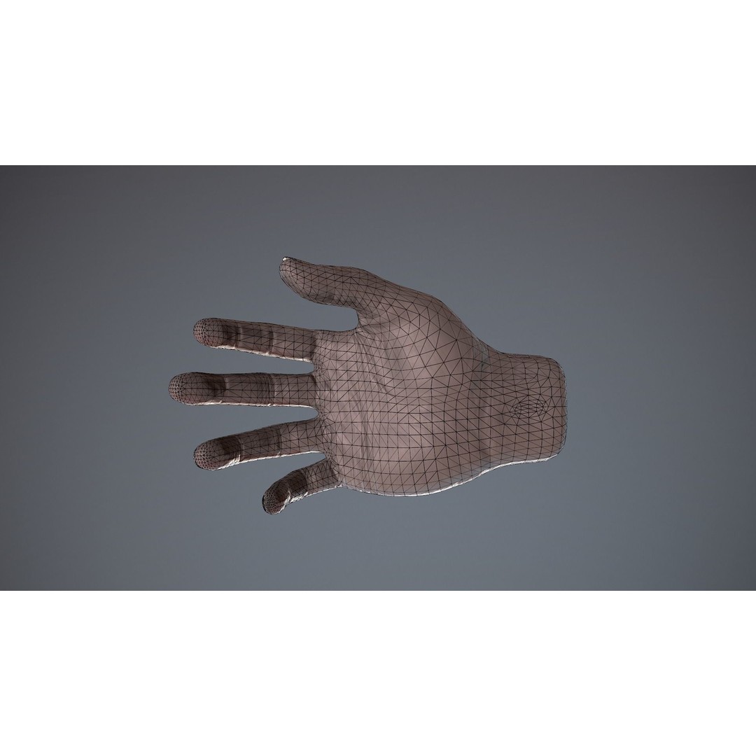 Male Hand 3D Model – Low Poly Rigged Asset with PBR Textures - View 30