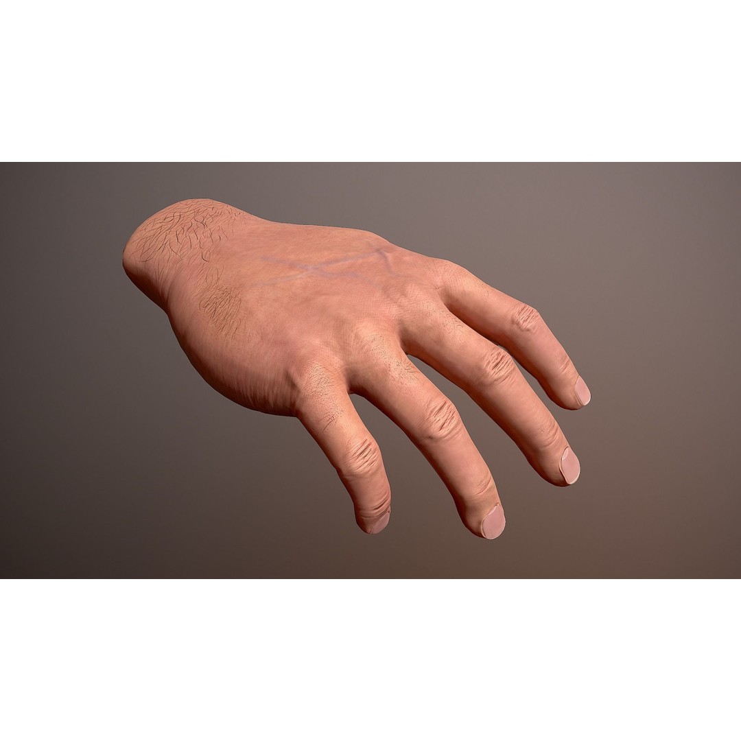Male Hand 3D Model – Low Poly Rigged Asset with PBR Textures - View 8