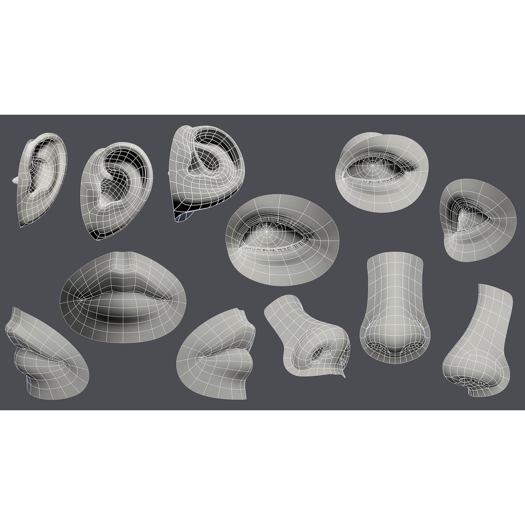 Facial Element 3D Model – Low Poly Character Anatomy, OBJ