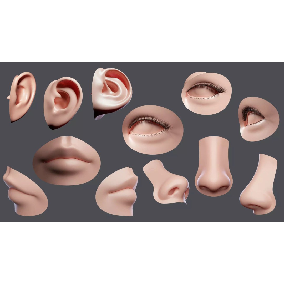 Facial Element 3D Model – Low Poly Character Anatomy, OBJ - View 2
