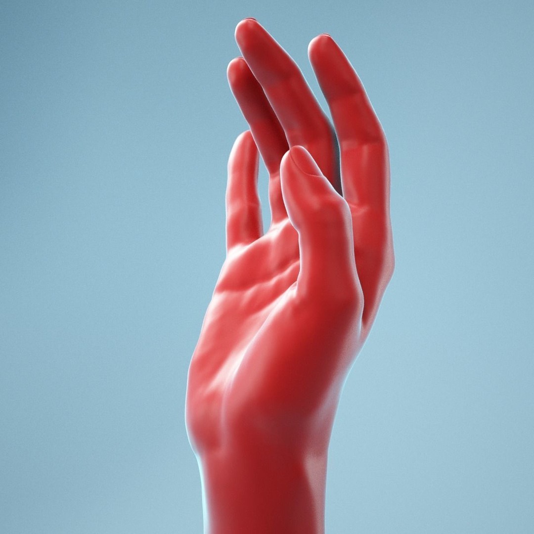 Realistic Hand 3D Model – Elegant Relaxed Pose, High Poly Formats - View 11