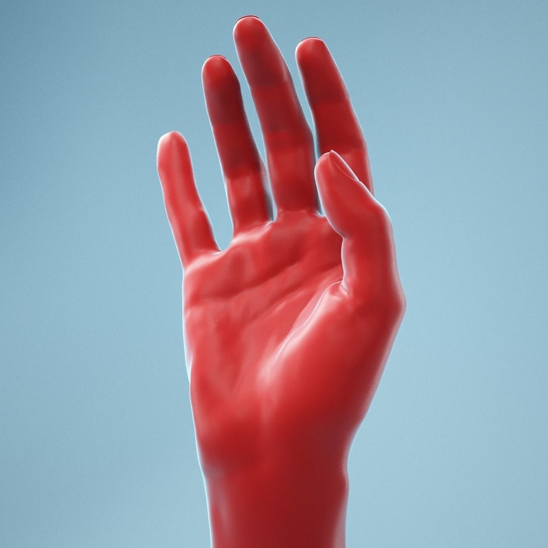 Realistic Hand 3D Model – Elegant Relaxed Pose, High Poly Formats - View 12