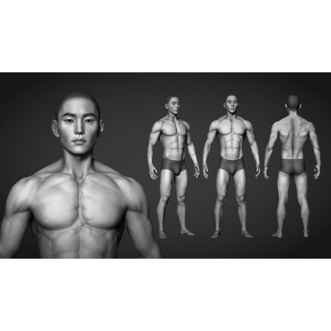 Asian Muscular Male Base Mesh 3D Model – High Poly FBX, UV Unwrapped