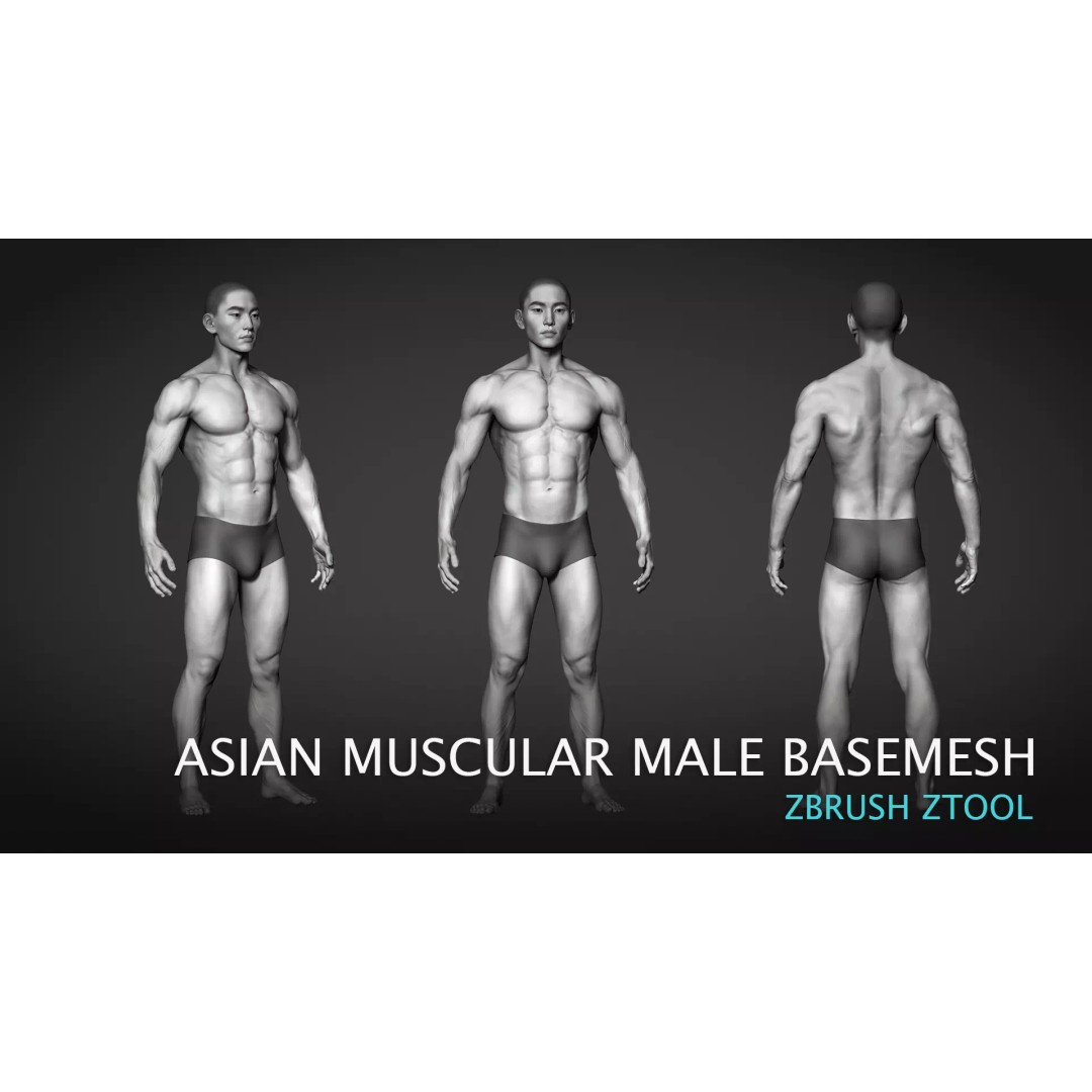 Asian Muscular Male Base Mesh 3D Model – High Poly FBX, UV Unwrapped - View 2