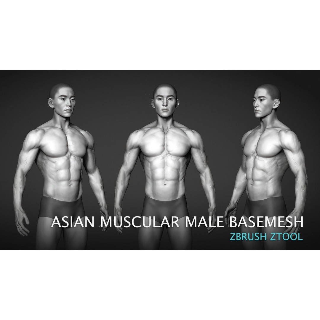 Asian Muscular Male Base Mesh 3D Model – High Poly FBX, UV Unwrapped - View 3