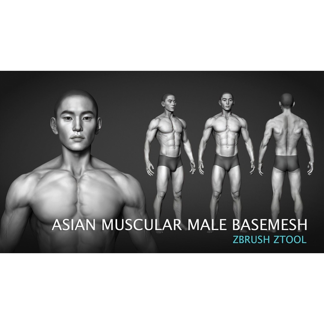 Asian Muscular Male Base Mesh 3D Model – High Poly FBX, UV Unwrapped - View 4