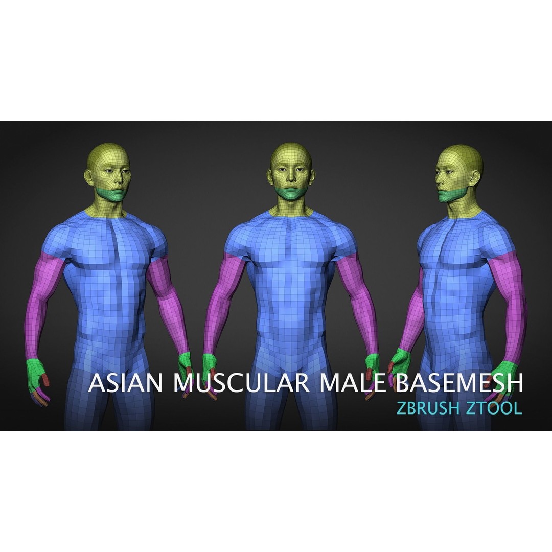 Asian Muscular Male Base Mesh 3D Model – High Poly FBX, UV Unwrapped - View 5