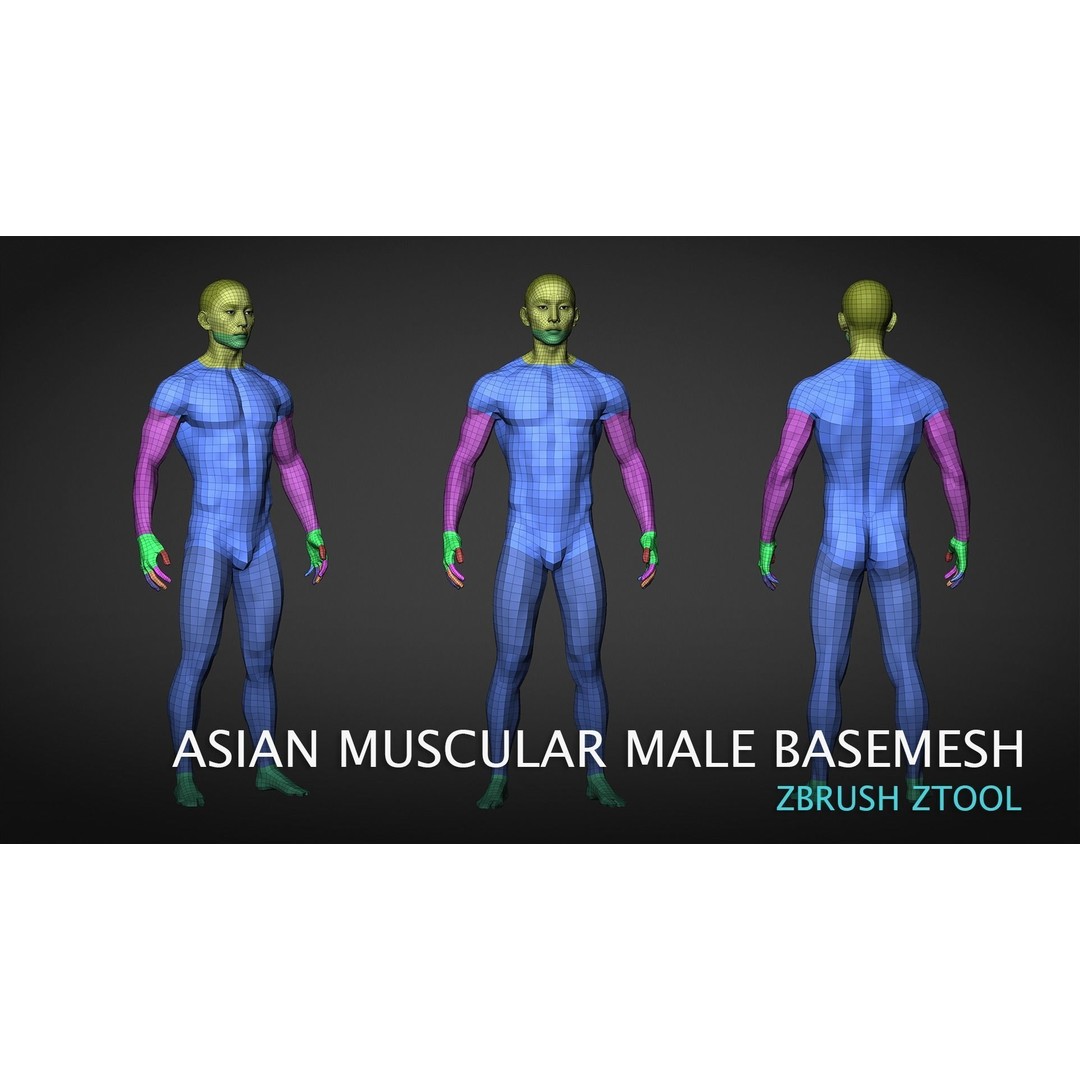 Asian Muscular Male Base Mesh 3D Model – High Poly FBX, UV Unwrapped - View 6
