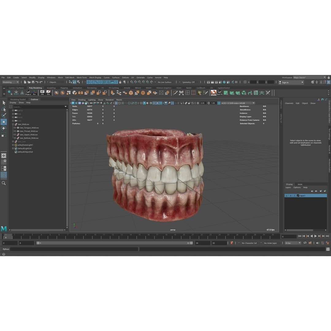 Realistic Mouth Jaw and Teeth 3D Model – Low Poly Game-Ready Asset, FBX