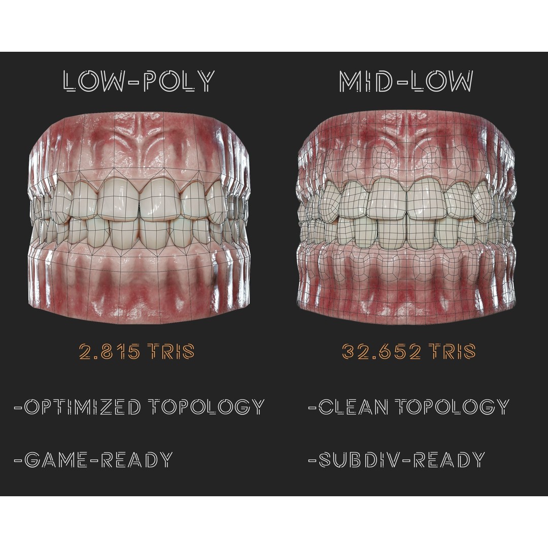 Realistic Mouth Jaw and Teeth 3D Model – Low Poly Game-Ready Asset, FBX - View 15