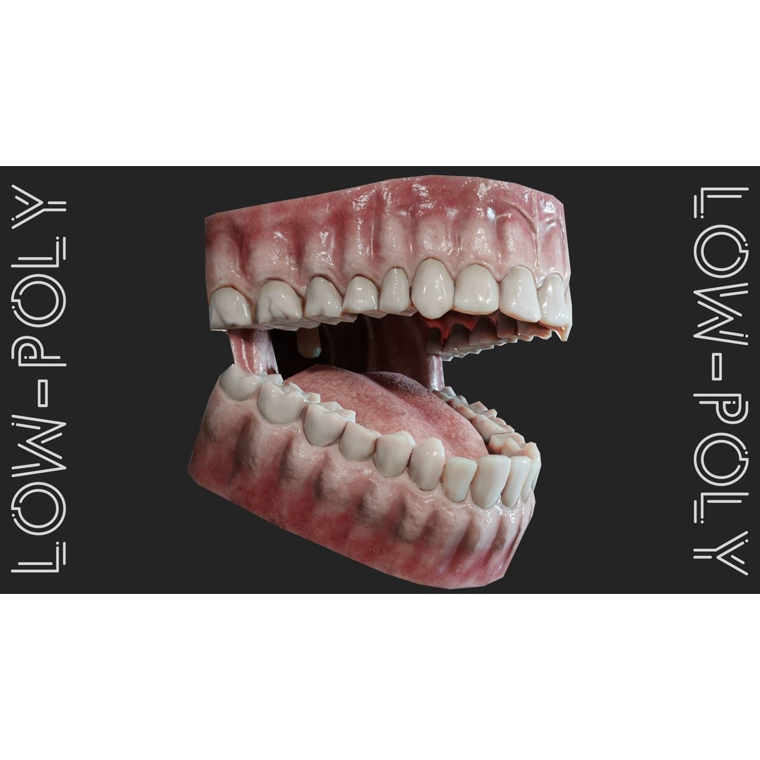 Realistic Mouth Jaw and Teeth 3D Model – Low Poly Game-Ready Asset, FBX - View 17