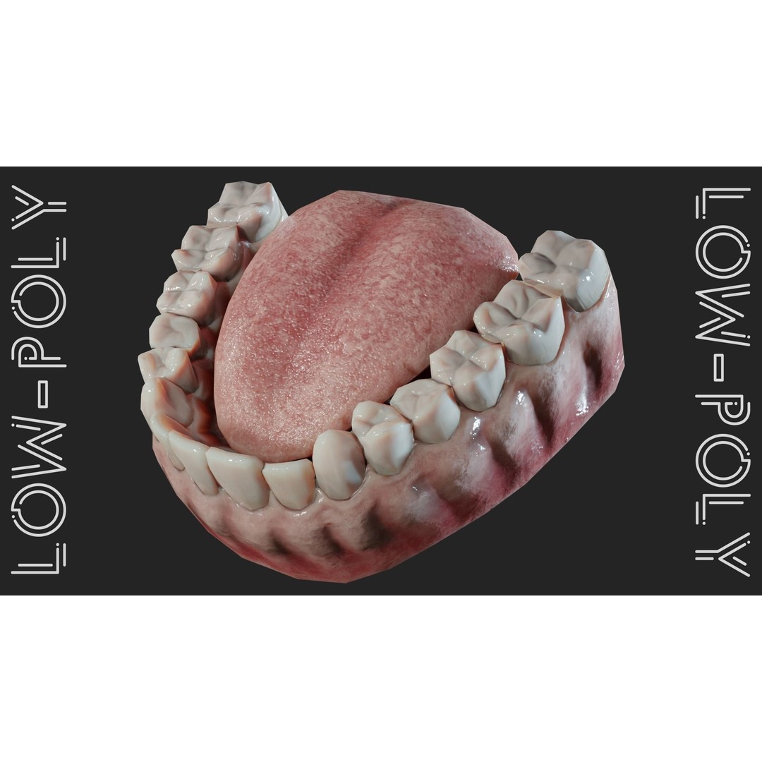 Realistic Mouth Jaw and Teeth 3D Model – Low Poly Game-Ready Asset, FBX - View 19