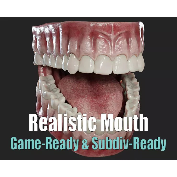 Realistic Mouth Jaw and Teeth 3D Model – Low Poly Game-Ready Asset, FBX - View 2