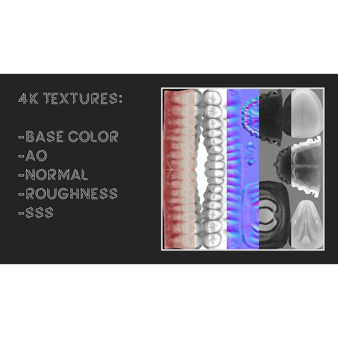 Realistic Mouth Jaw and Teeth 3D Model – Low Poly Game-Ready Asset, FBX - View 22