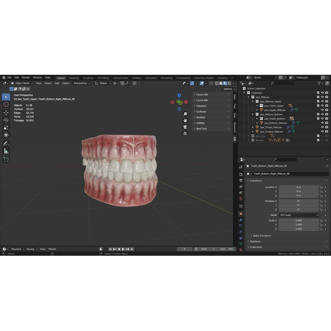 Realistic Mouth Jaw and Teeth 3D Model – Low Poly Game-Ready Asset, FBX - View 23