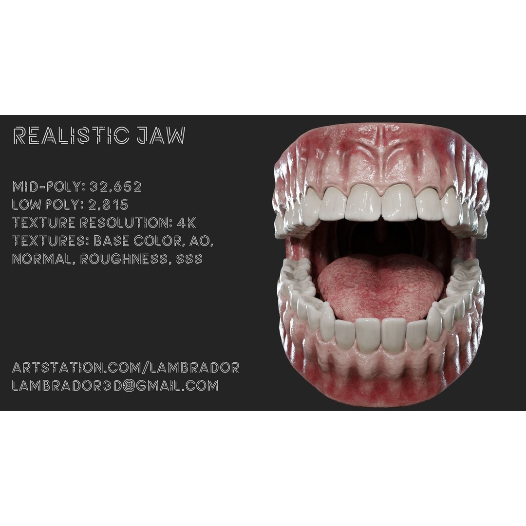 Realistic Mouth Jaw and Teeth 3D Model – Low Poly Game-Ready Asset, FBX - View 4
