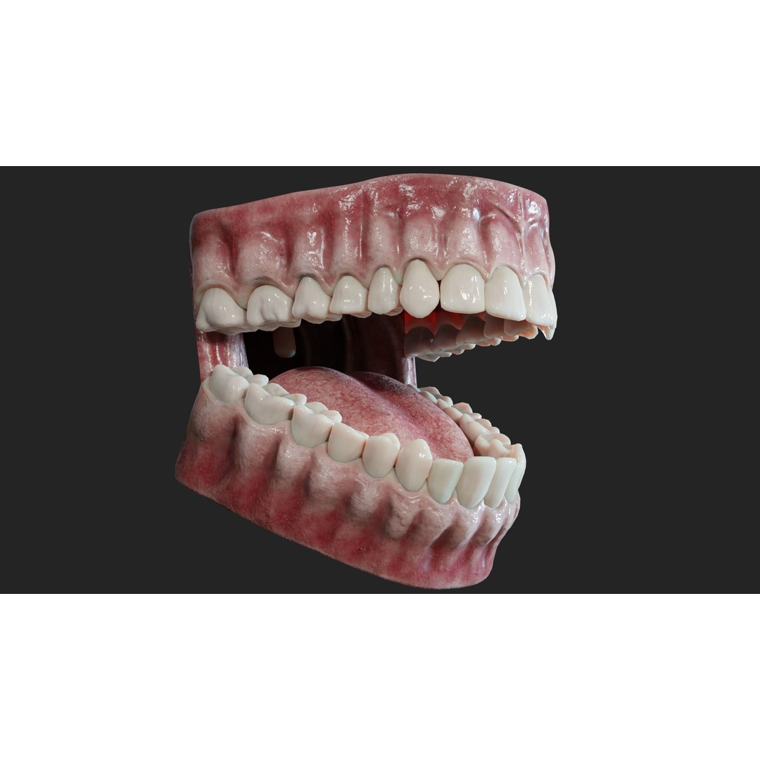 Realistic Mouth Jaw and Teeth 3D Model – Low Poly Game-Ready Asset, FBX - View 5