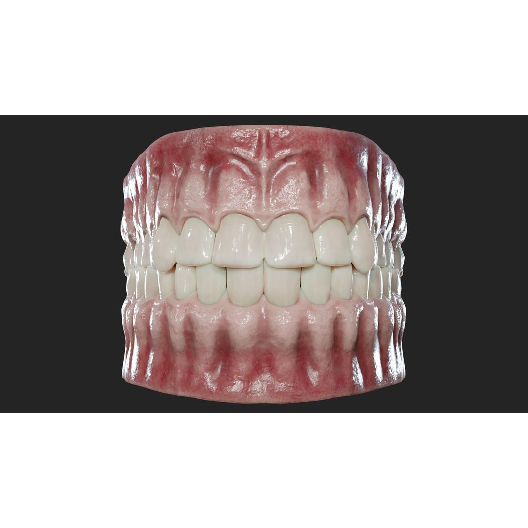 Realistic Mouth Jaw and Teeth 3D Model – Low Poly Game-Ready Asset, FBX - View 6