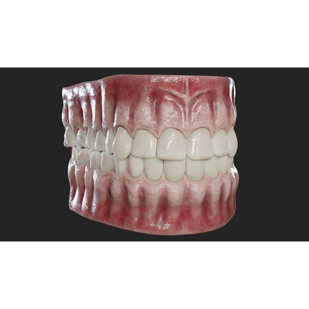 Realistic Mouth Jaw and Teeth 3D Model – Low Poly Game-Ready Asset, FBX - View 7