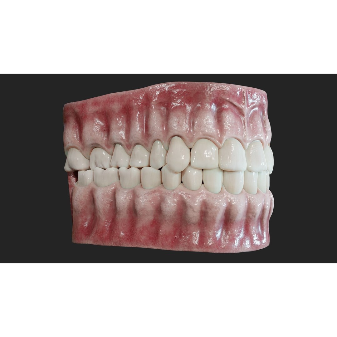 Realistic Mouth Jaw and Teeth 3D Model – Low Poly Game-Ready Asset, FBX - View 8