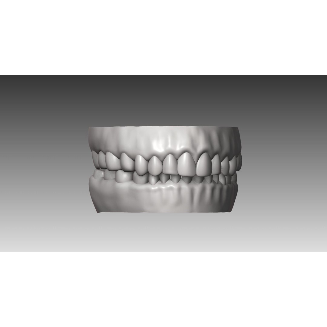 Realistic White Female Head 3D Model – High Poly Character Anatomy, OBJ - View 10