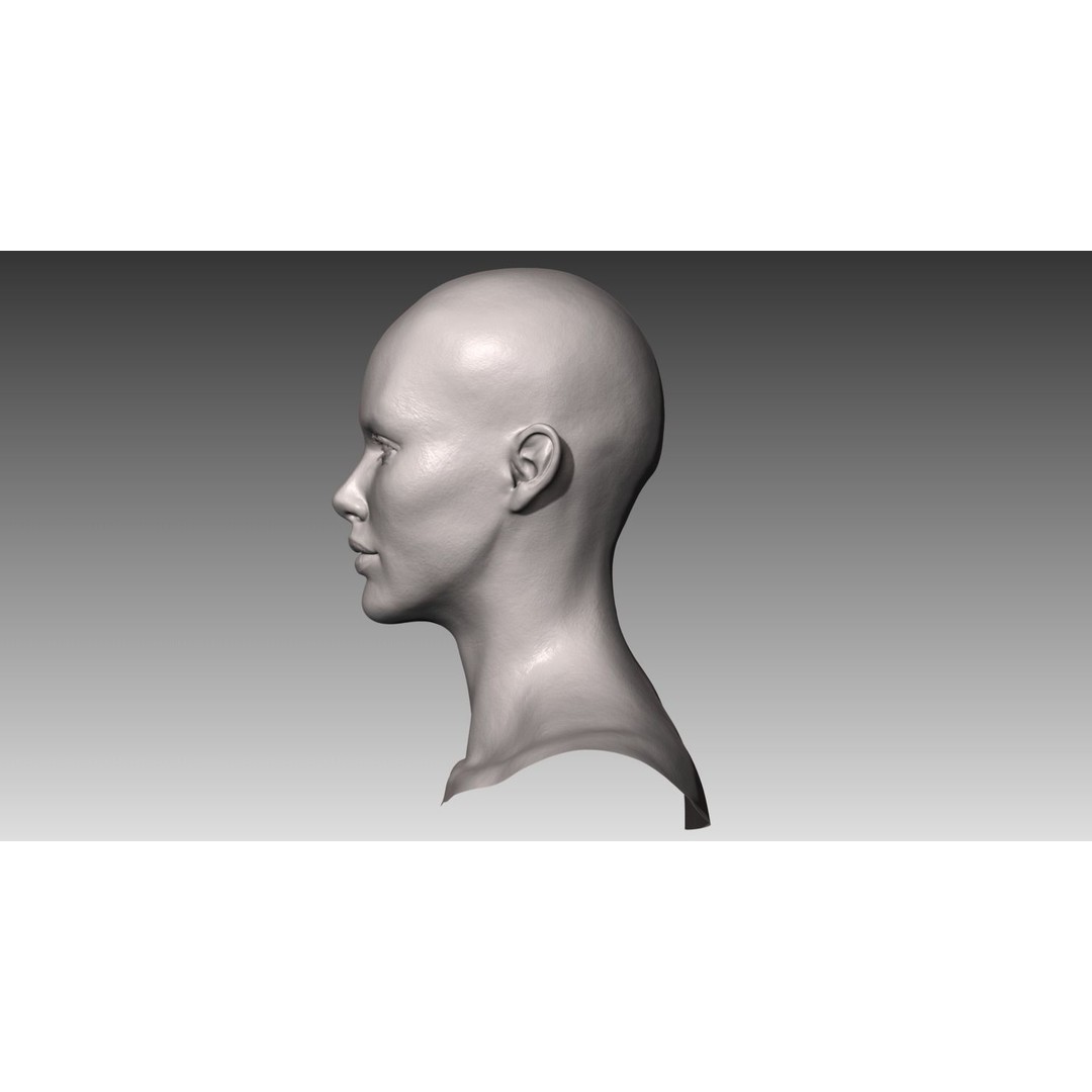 Realistic White Female Head 3D Model – High Poly Character Anatomy, OBJ - View 4