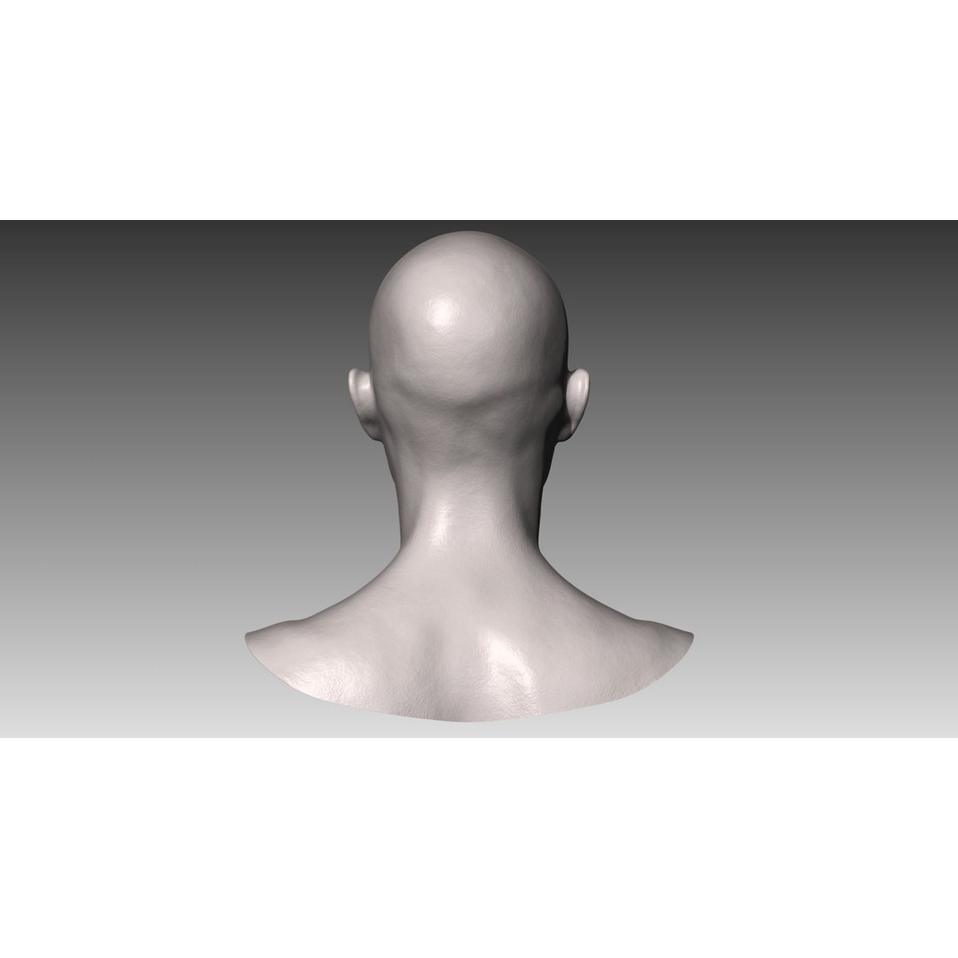 Realistic White Female Head 3D Model – High Poly Character Anatomy, OBJ - View 6